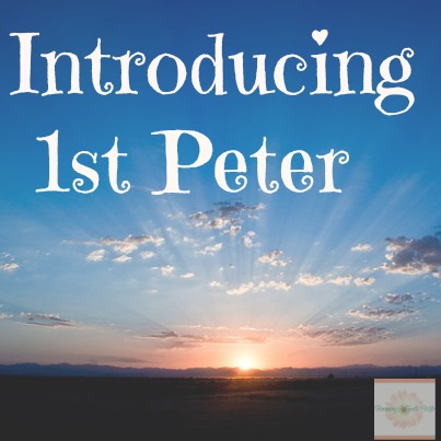 Introducing 1st Peter and The  Salt & Light Link Up #36
