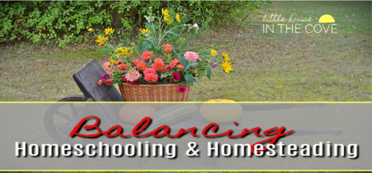 Balancing Homeschooling and Homesteading