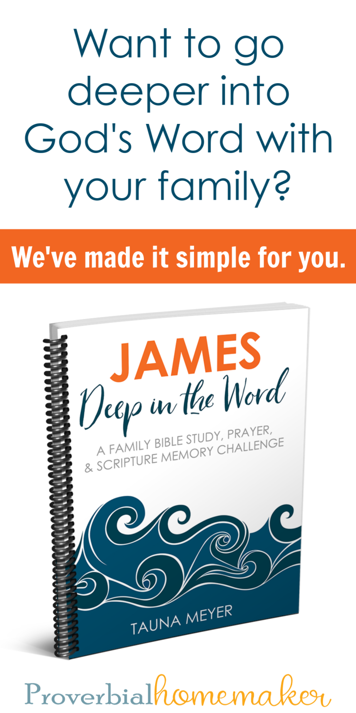 FREE 2019 Monthly Bible Study: James