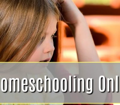 A New Homeschooling Online Tool – An IXL Review